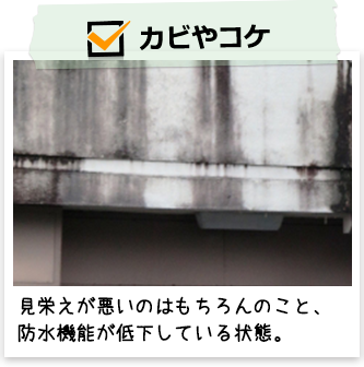 カビやコケ：見栄えが悪いのはもちろんのこと、防水機能が低下している状態。